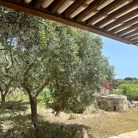 Calarossa O' Cafe'